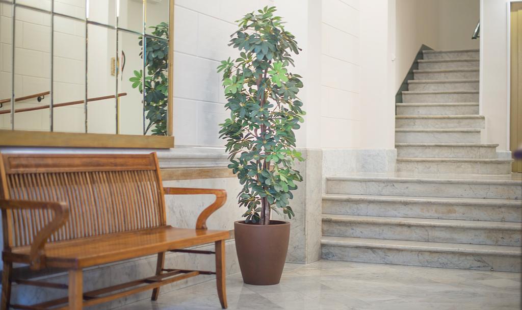 Anakena House Nocleg ze śniadaniem 3*